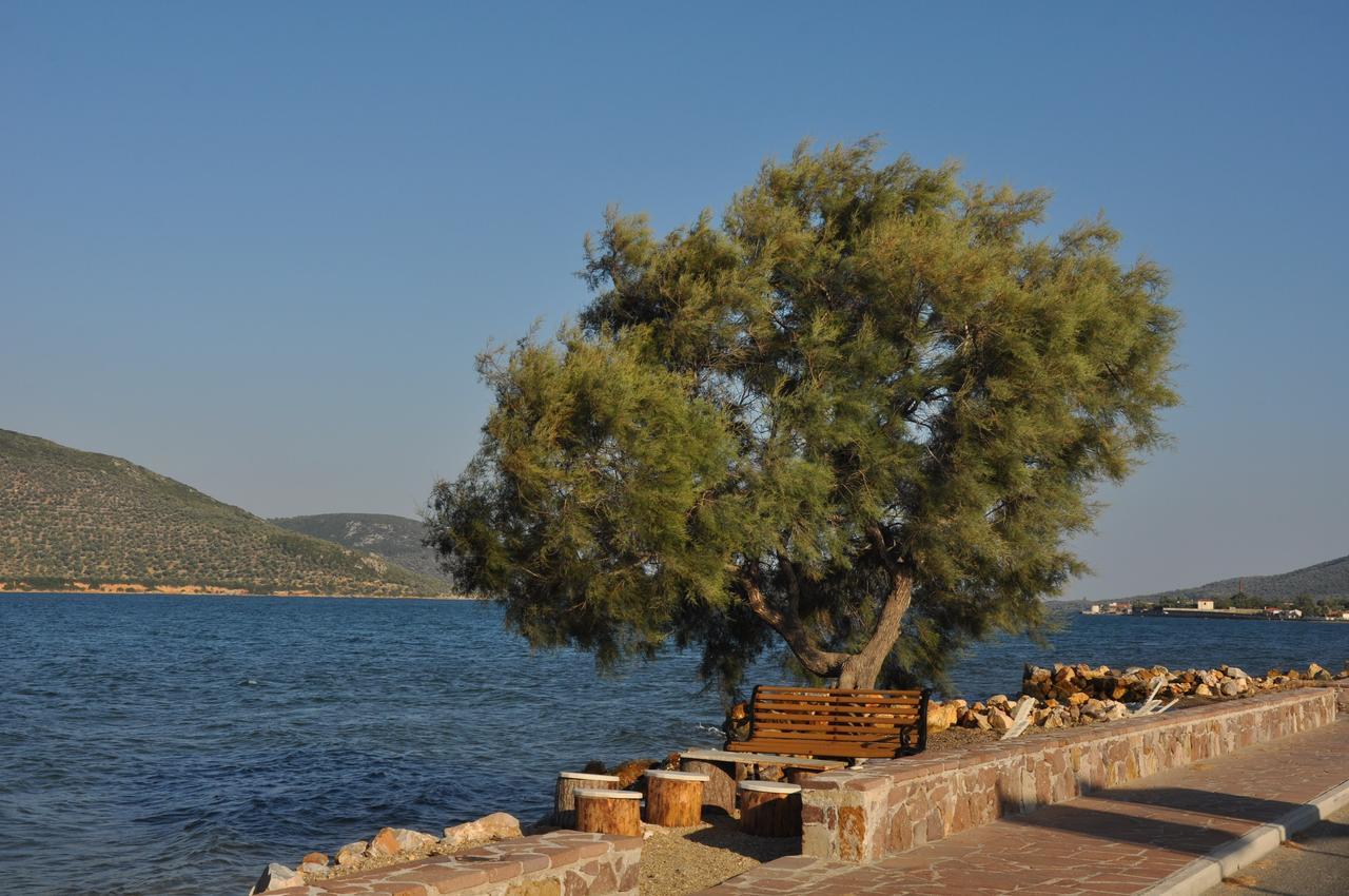 Ariadnes Holiday Accommodation Apidias Lakos Exterior foto